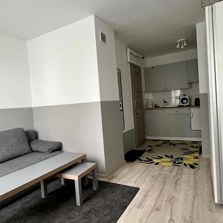 Apartamento Mlawska 33 Rypin Exterior foto