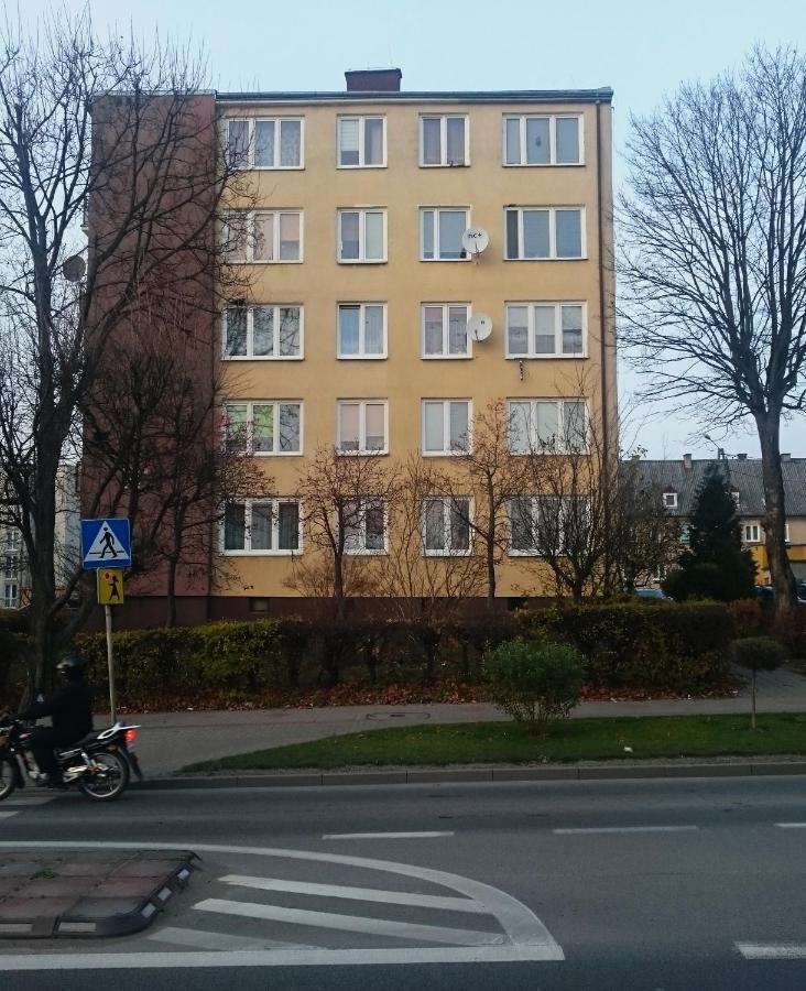 Apartamento Mlawska 33 Rypin Exterior foto