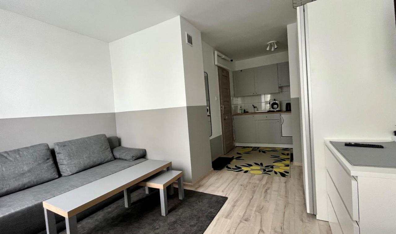 Apartamento Mlawska 33 Rypin Exterior foto